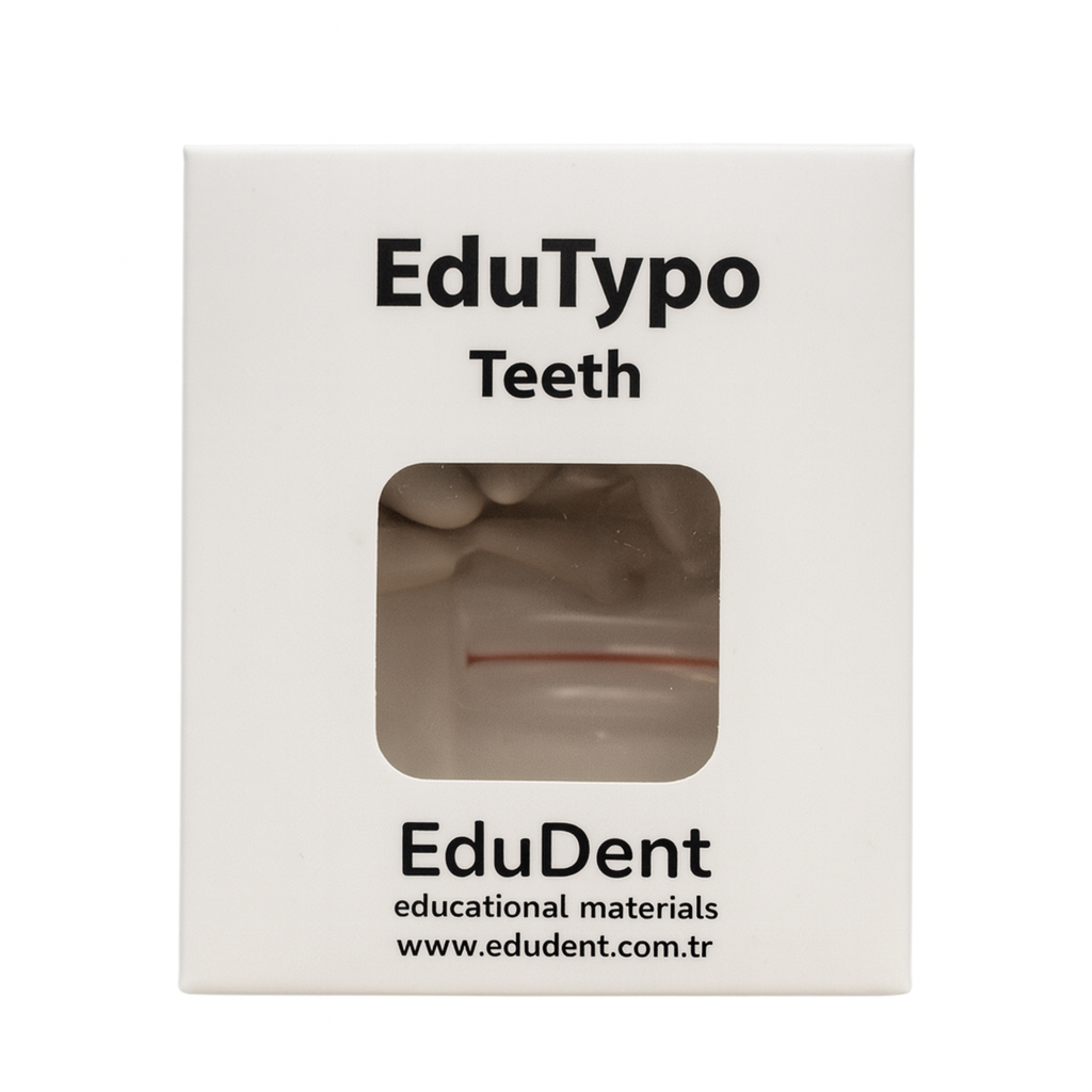 EDUDENT Etli Çene Uyumlu Yedek Diş 28'li