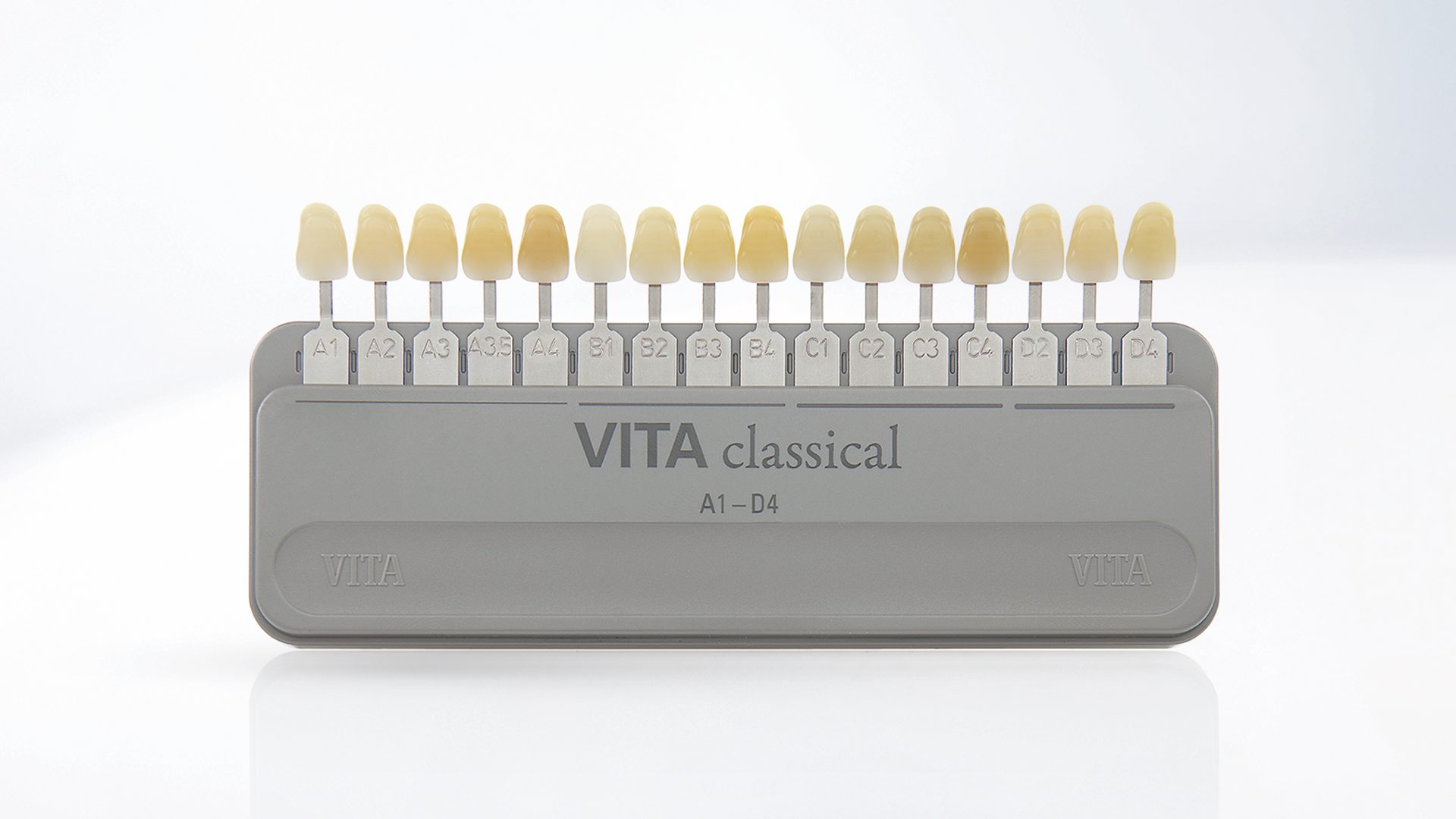 Vita Vitapan Klasik Diş Renk Skalası A1-D4